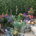 Affittacamere Hildfelder Stuebchen Winterberg