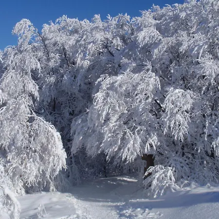 Πανσιόν Hildfelder Stuebchen