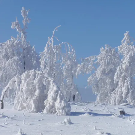 Hildfelder Stuebchen Pensionat 3*