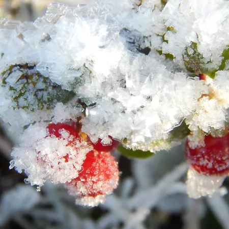 Hildfelder Stübchen Gasthof