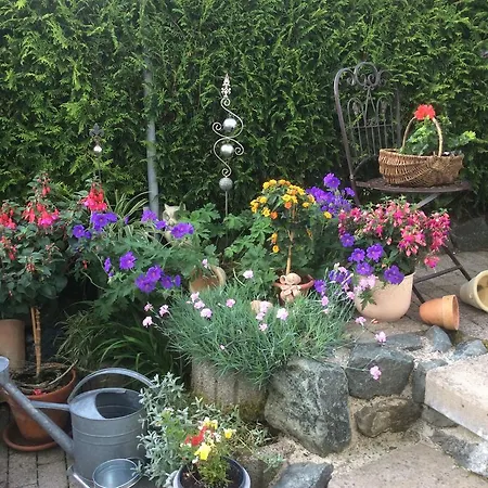 Gæstehus Hildfelder Stuebchen Winterberg