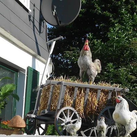 Hildfelder Stuebchen 3* Winterberg