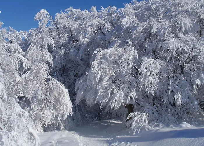 Pensionat Hildfelder Stuebchen