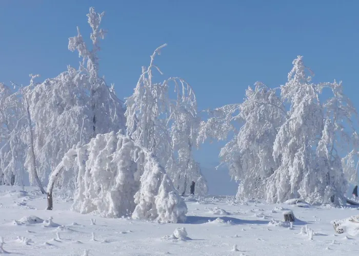 Hildfelder Stuebchen Pensionat 3*