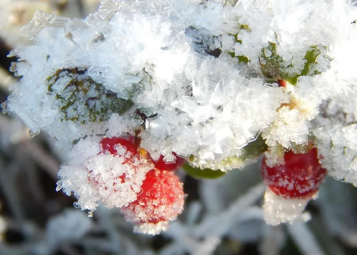 Hildfelder Stuebchen Vendégház